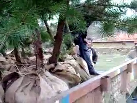 yukarı çulhalı köyü mezarlık yeşillendirme çalışmaları