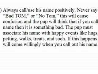 10 Most Important Tips To Training Your Puppies