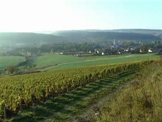 Morel Père et Fils, producteur de Rosé des Riceys