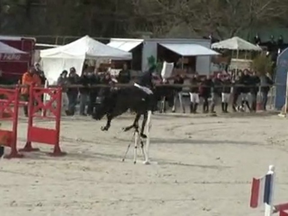 MARION PLATINO 135 MEYREUIL 28 02 10