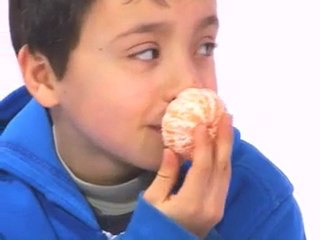 Un fruit raconté par les enfants : la clémentine