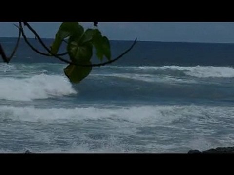 (Océan Indien)laure