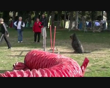Umberto Agility St Saturnin 28/02/10