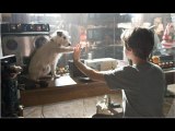 Hotel for Dogs (2009) Part 1/17 Film Online Free