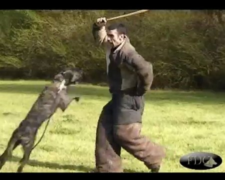 Archives FDG: Bite Fest 2003 (part II)