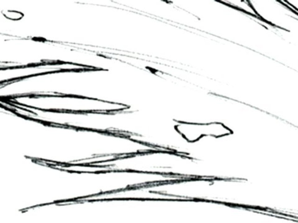 SW Animatics-Part 2-Default MPEG-4