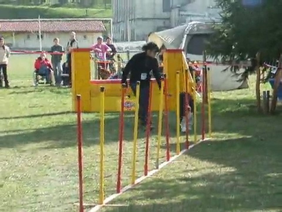 Volcan GPF Pointis 2010