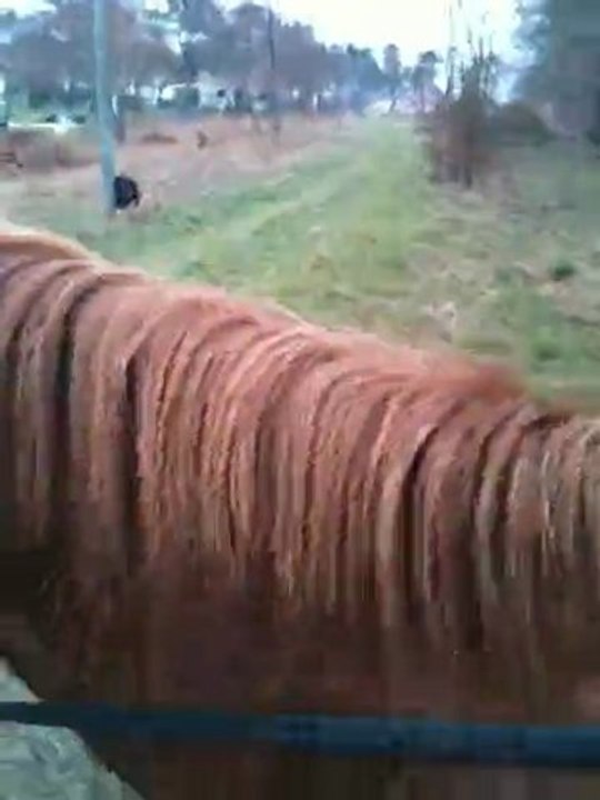 Balade du 1er Mars 2010