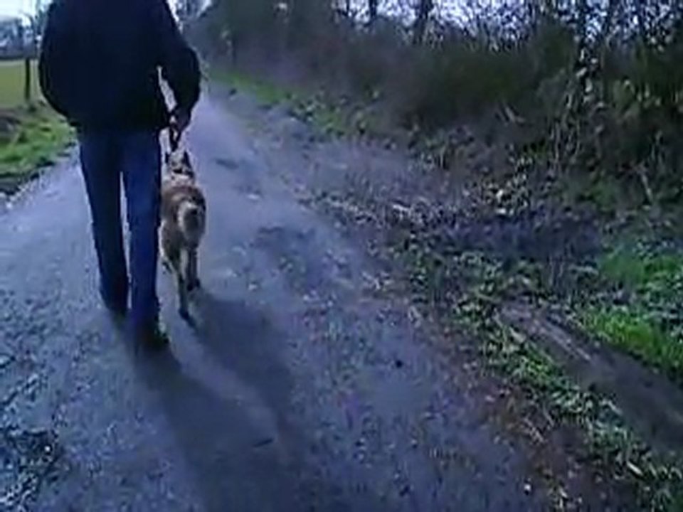 EROS PART EN PROMENADE