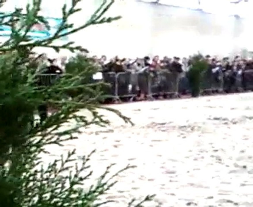 Idriss à la parade des étalons