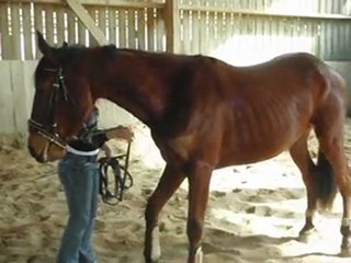 trio cession et reculer