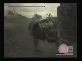 Shadow of the Colossus , 12 ) Le onzième Colosse