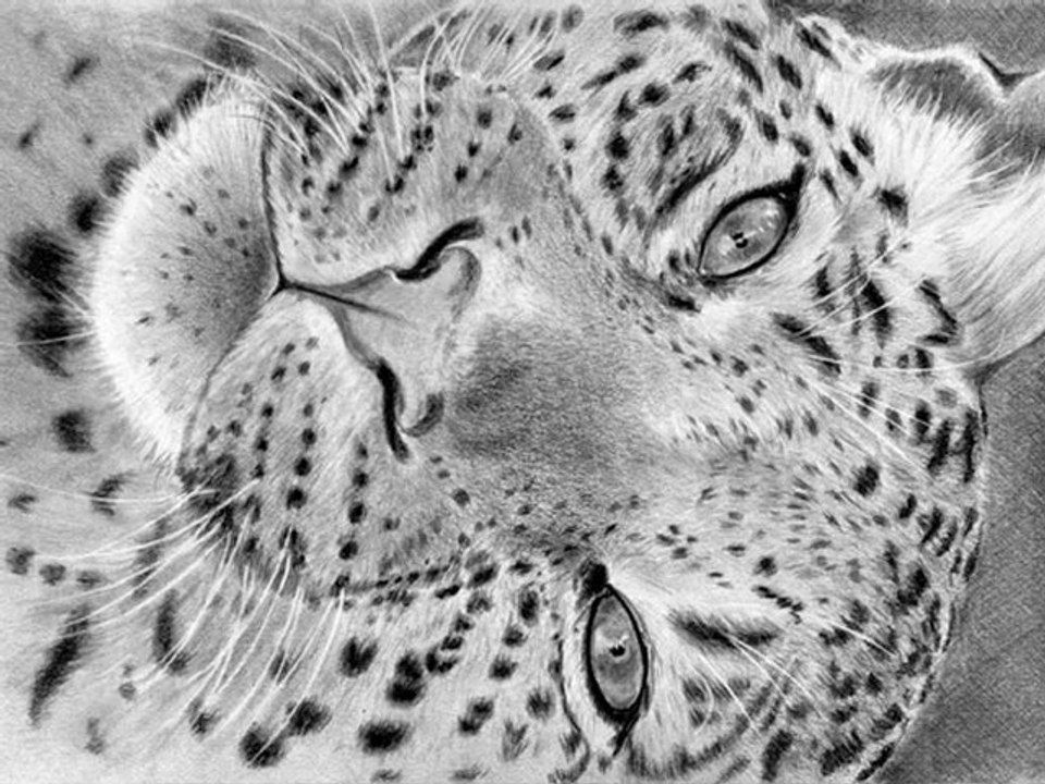 Repos de Leopard