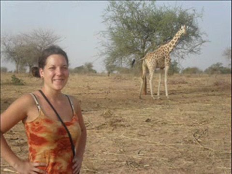 Les dernières Girafes de l’Afrique de l’Ouest