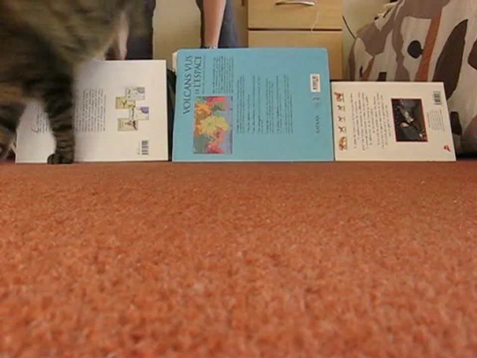 Madouw' se Bouuge xD'