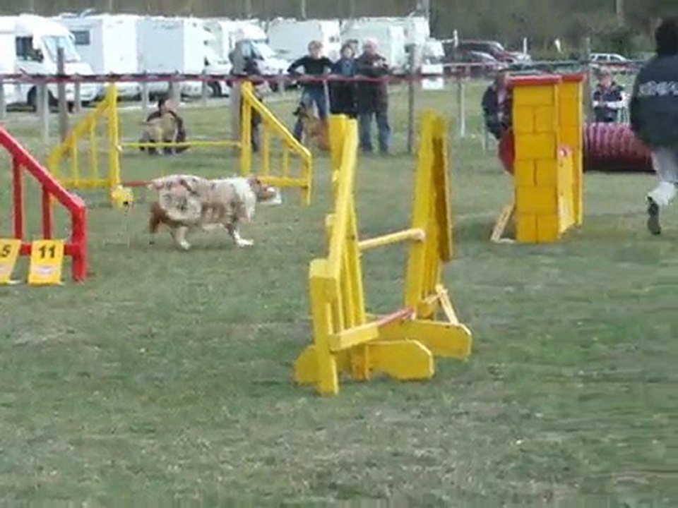 Maybe Jump Pointis 2010