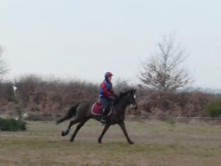 Cross CCE Jau Dignac Alice Galop III
