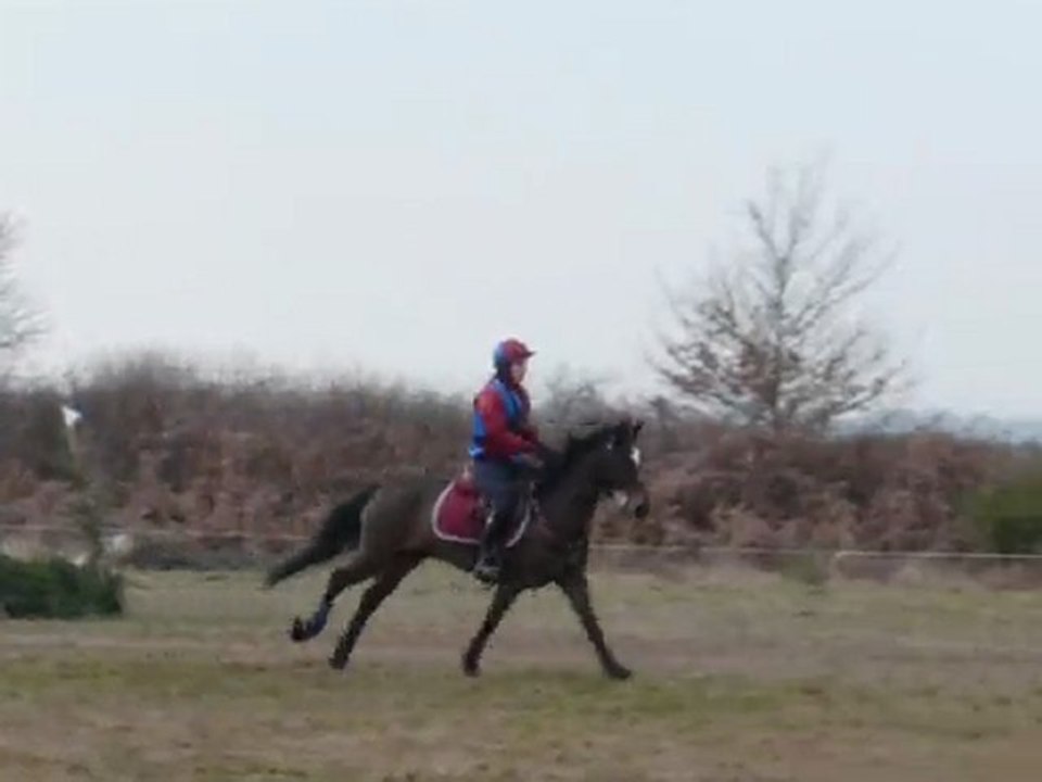 Cross CCE Jau Dignac Alice Galop III