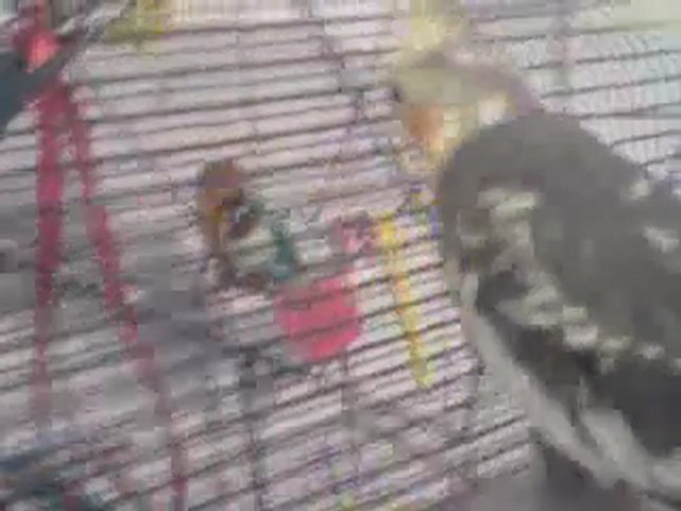 Coco et Paloma 2