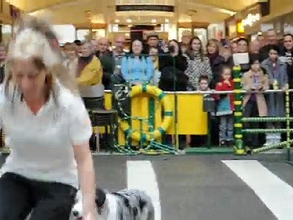 Salon Info Canin Dimanche 28 Fev 2010 145