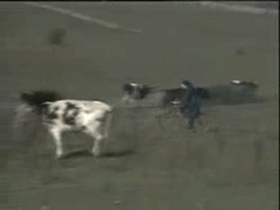 Monja contenta Bicicletas sin sillín