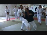 Révision de Nihon Tai-Jitsu: défense sur coup de pied direct