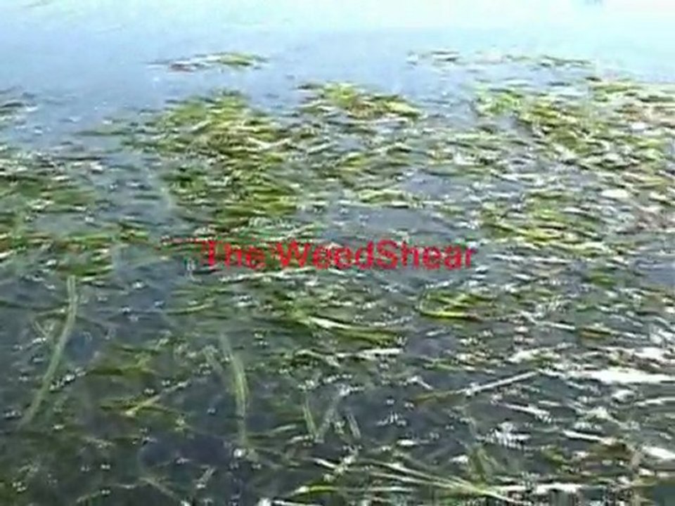 Amazing Lake Weed Cutter and Pond Weed Cutter