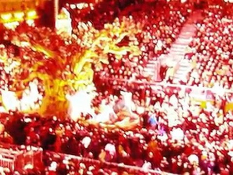 Carnaval de Nice 2010 (2)