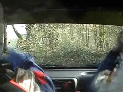 Rallye de la Fougère 2010