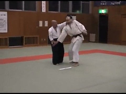 Aikido Shomen uchi Irimi nage正面打入身投（一教流れ）