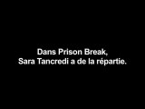 Prison Break - Sara Tancredi dit 