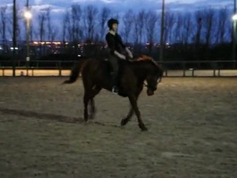 Celine et Antartis - galop sur 8