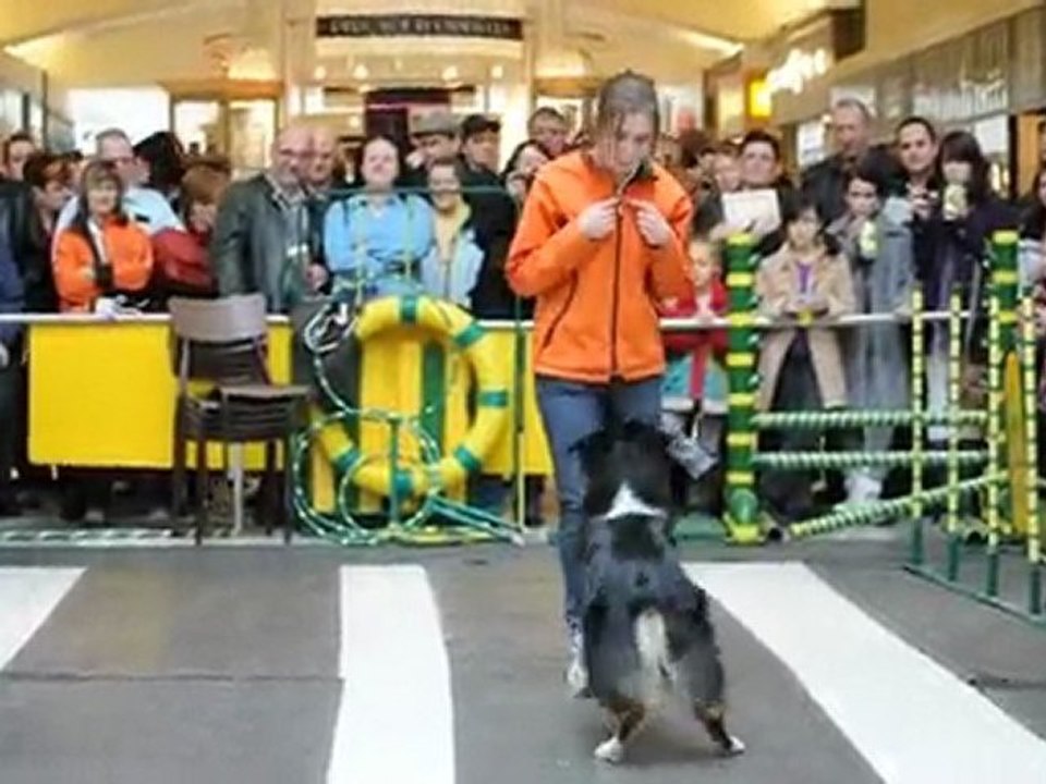 Salon Info Canin Dimanche 28 Fev 2010 147