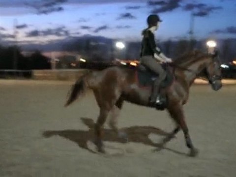 Celine et Antartis - Galop sur 8 et à faux...