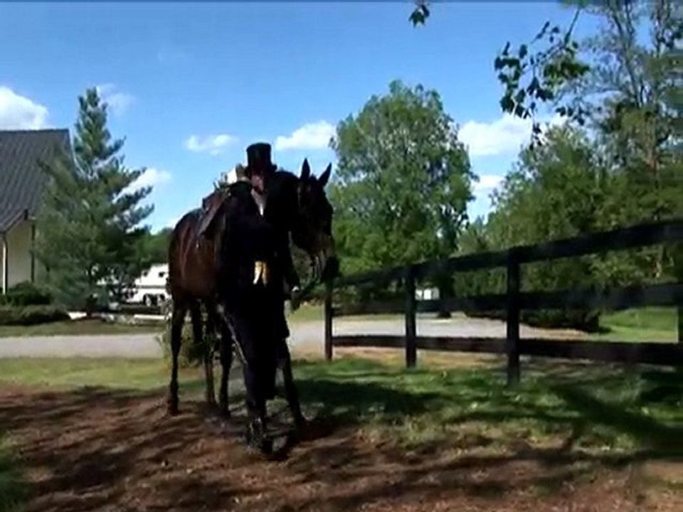 HA Side Saddle