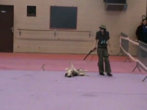 L'explorateur - Arteis - St Germain des Bois - Passage 1