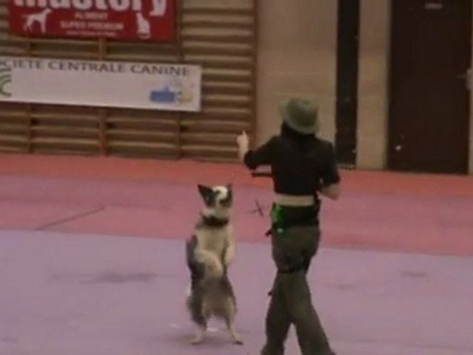 L'explorateur - Arteis - St Germain des Bois - Passage 2