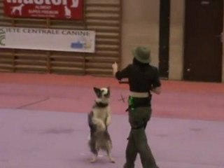 L'explorateur - Arteis - St Germain des Bois - Passage 2