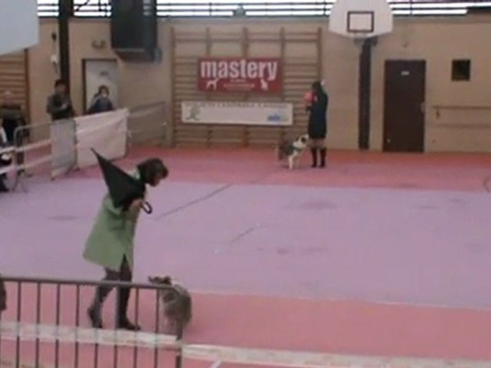 Dansons sous la pluie - Eden et Arteis - Passage 1