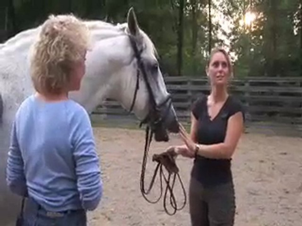HA Lusitano part 1