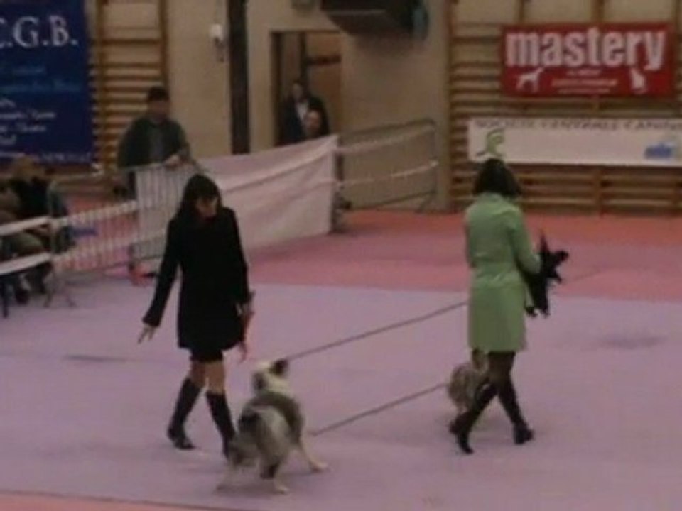 Dansons sous la pluie - Eden et Arteis - Passage 2