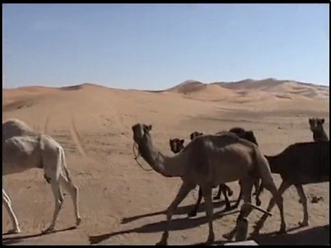 CTN - transfert - Hi8 V8 D8