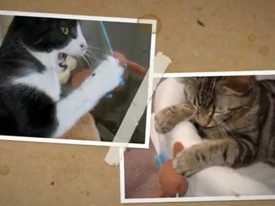 Mes 2 p'tits monstres!