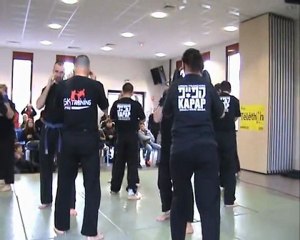 Telethon - technique sur coup de poing direct avancé