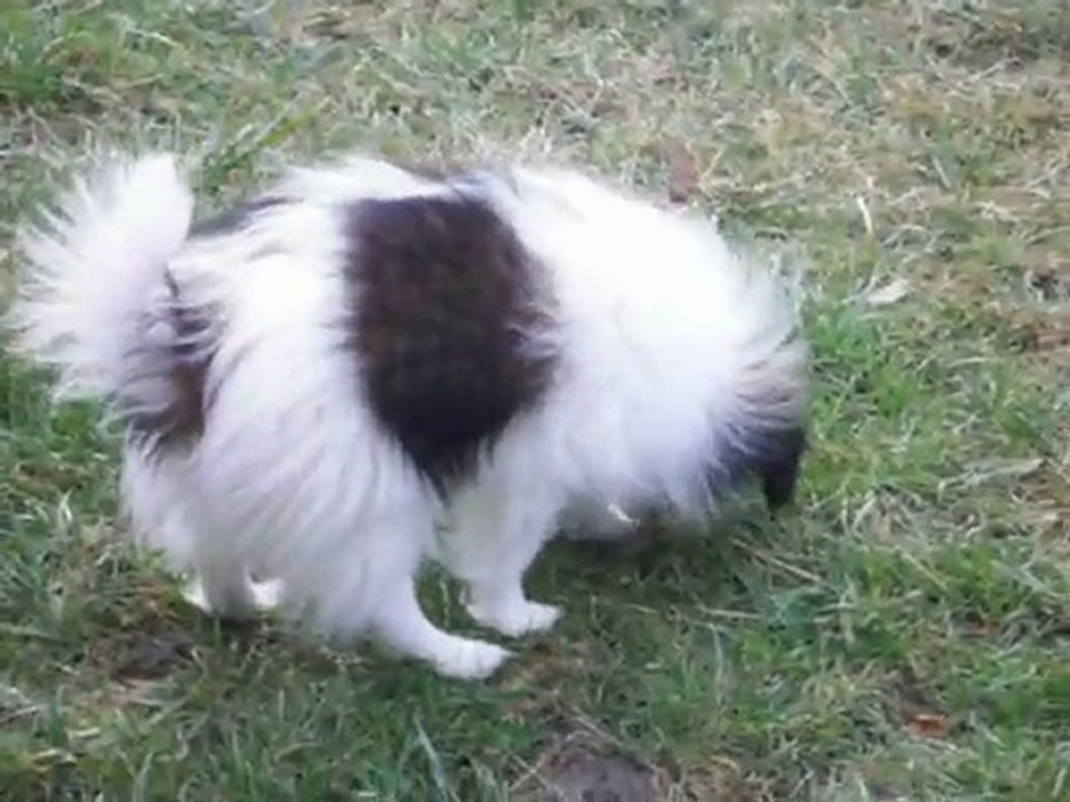 premiers jeux dans le jardin en Savoie