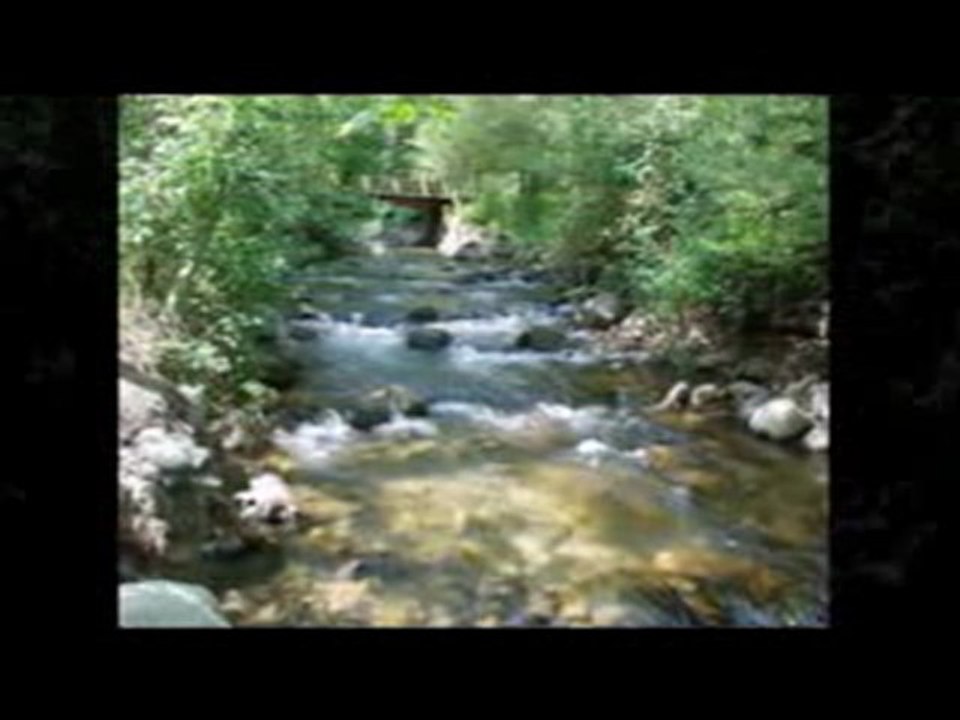 Ashland Internet Marketing - Ashland Web Marketing