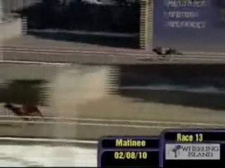 Warren Zevon Wins Again