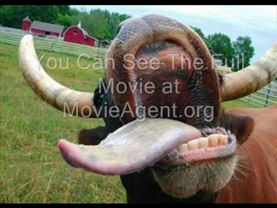 Mad Cow (2008) Part 1/16, Full Movie / Film Online Free