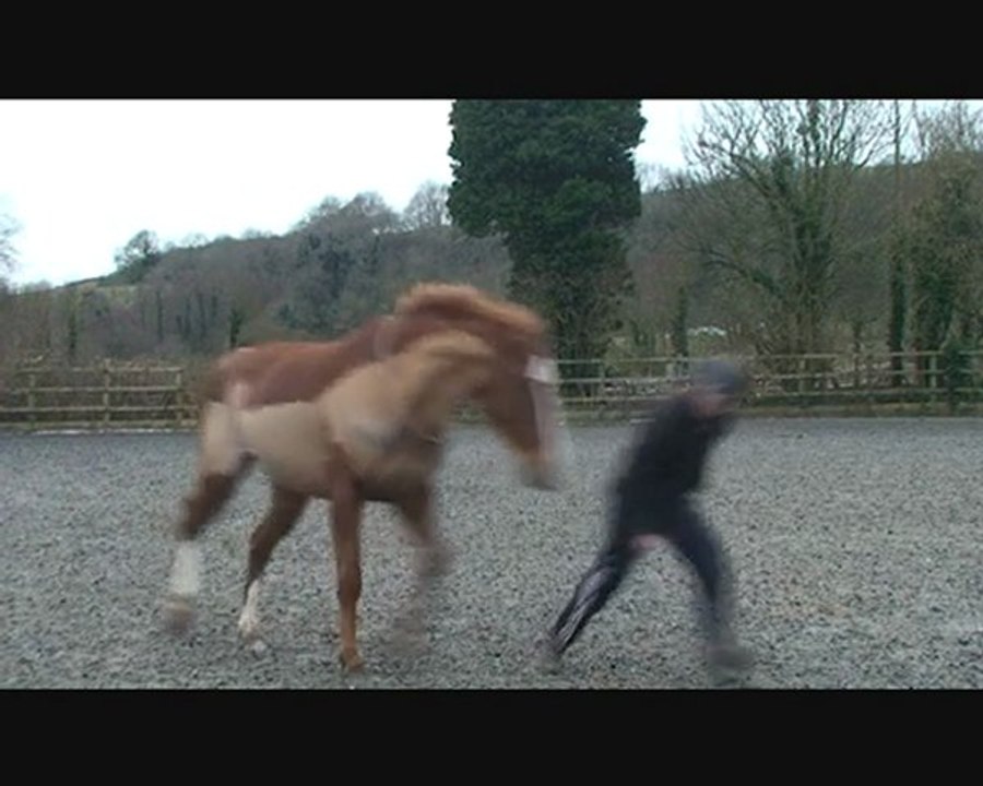 Heal the World Fundador & Krak