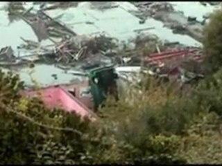 Le immagini dello tsunami in Cile